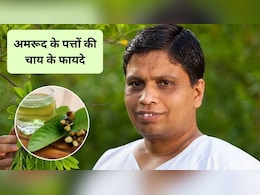 अमरूद के पत्तों की चाय पीने से क्या होता है? आचार्य बालकृष्ण से जानिए फायदे और कैसे बनाएं अमरूद के पत्तों की चाय