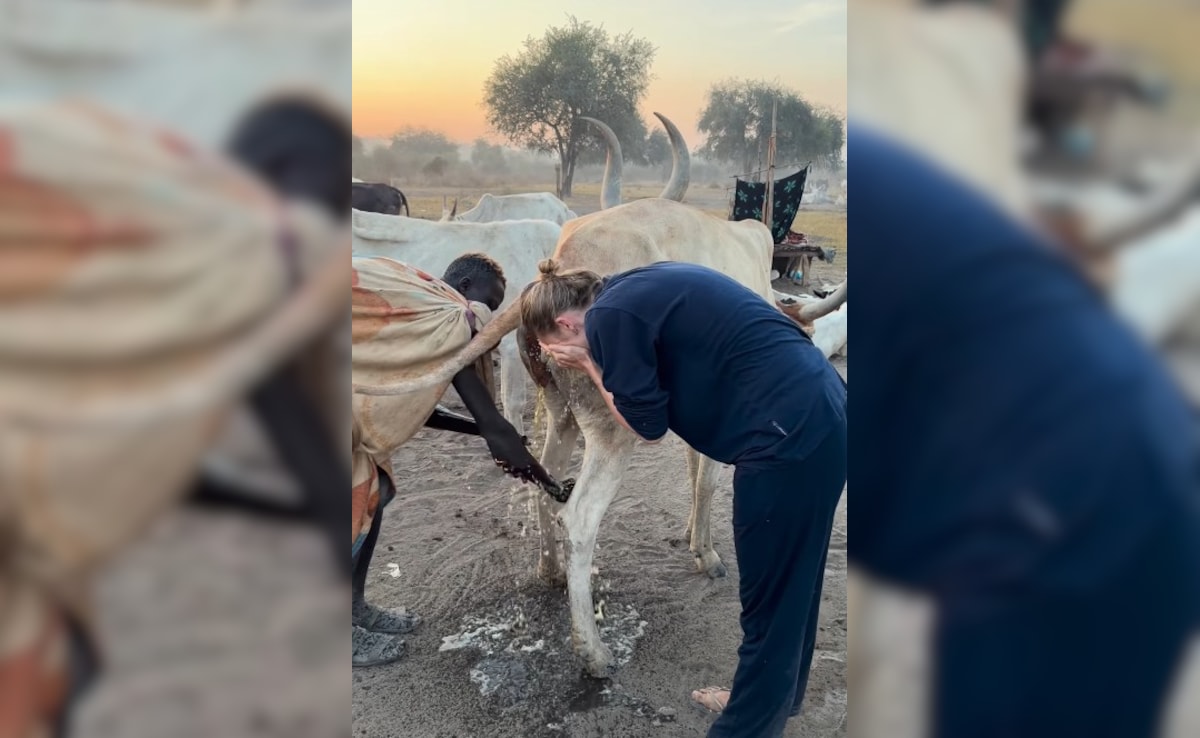 Latest and Breaking News on NDTV