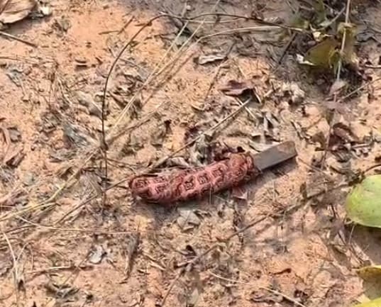 Latest and Breaking News on NDTV Latest and Breaking News on NDTV