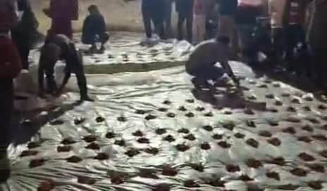 CG News: अंबिकापुर में रेबीज संक्रमित बकरे की बलि