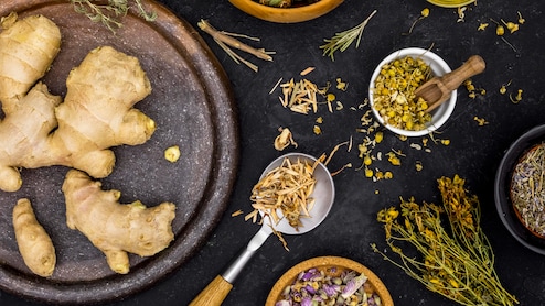 PM Modi To Address WHOs 2nd Global Summit On Traditional Medicine Today