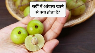 आंवला सर्दियों का सुपरफूड क्यों है? ठंड में ज्यादा आंवला खाने से क्या होता है, जानिए 5 फायदे