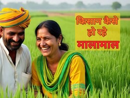 राजस्थान के इस इलाके में 'लाल सोना' से बदली किसानों की किस्मत, 10 गुना बढ़ी कमाई