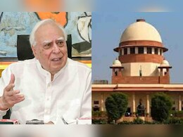 'श्रीमान सिब्बल, वीडियो दिखाएंगे फिर आपसे पूछा जाएगा...' : आवारा कुत्तों के मुद्दे पर SC में जज की दोटूक