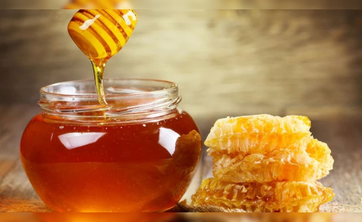 Latest and Breaking News on NDTV