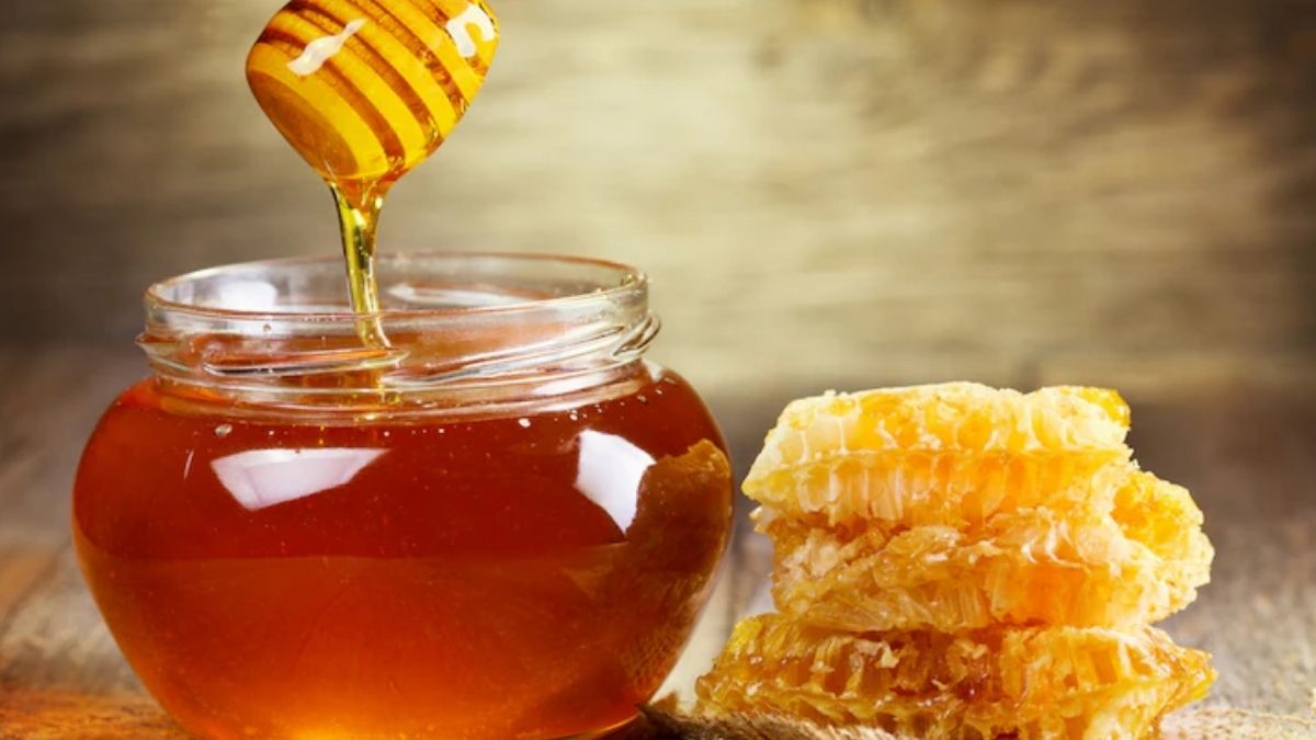 Latest and Breaking News on NDTV Latest and Breaking News on NDTV