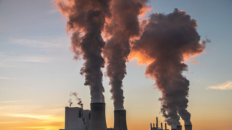 No Monitoring Of Emissions From 11 Coal Plants Near Delhi For 10 Years: RTI