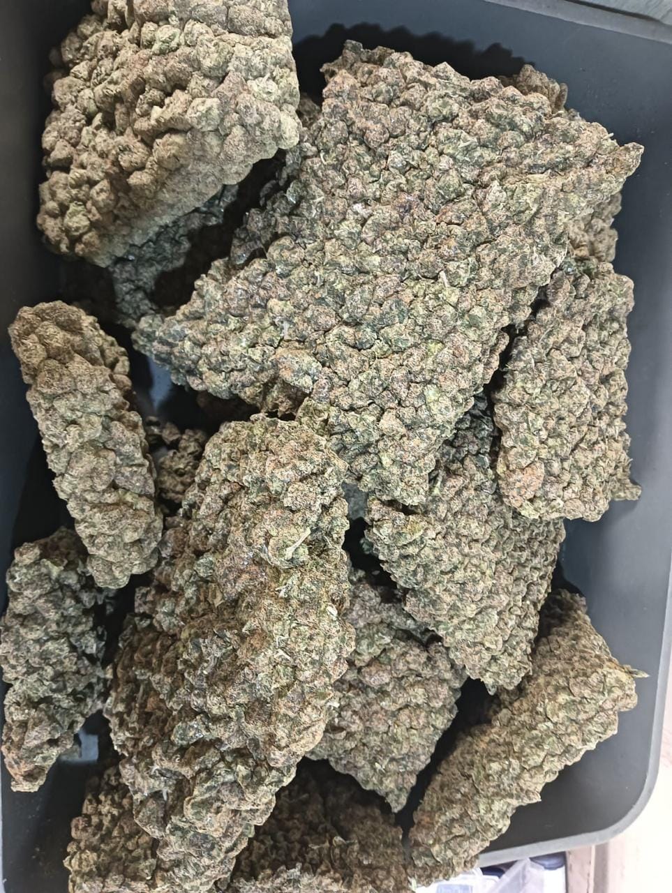 Latest and Breaking News on NDTV Latest and Breaking News on NDTV