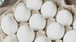 No Cancer Risk From Eggs, Food Authority Clarifies After Viral Claims