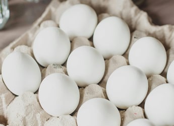 No Cancer Risk From Eggs, Food Authority Clarifies After Viral Claims