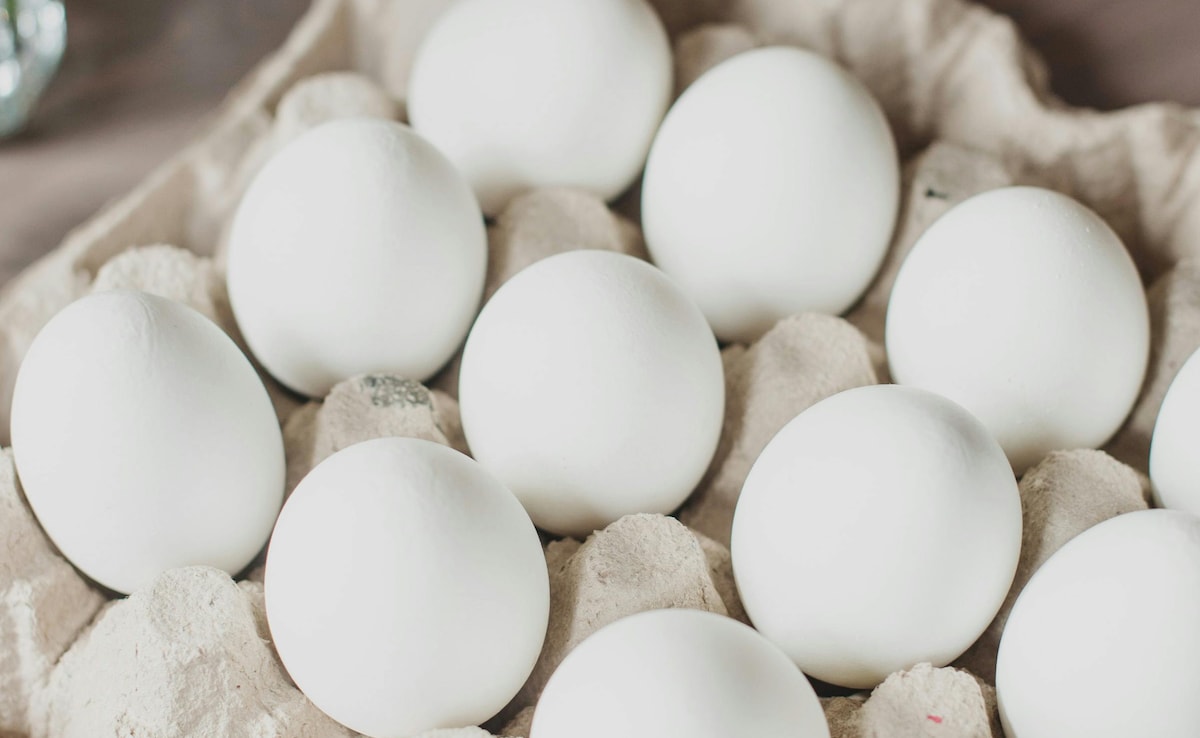 Paneer vs Eggs | Paneer ya Anda kya behtar hai | Sabse jyada protein kisme hota hai | Paneer vs Eggs protein content Latest and Breaking News on NDTV