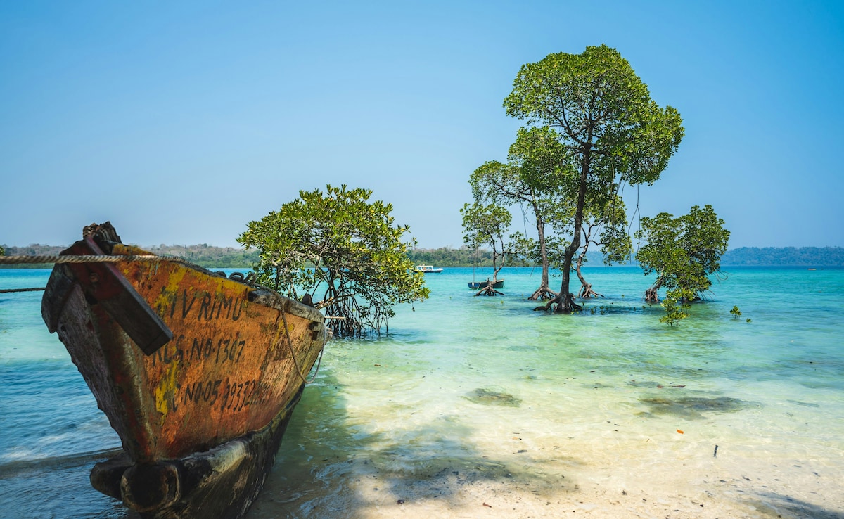 Latest and Breaking News on NDTV