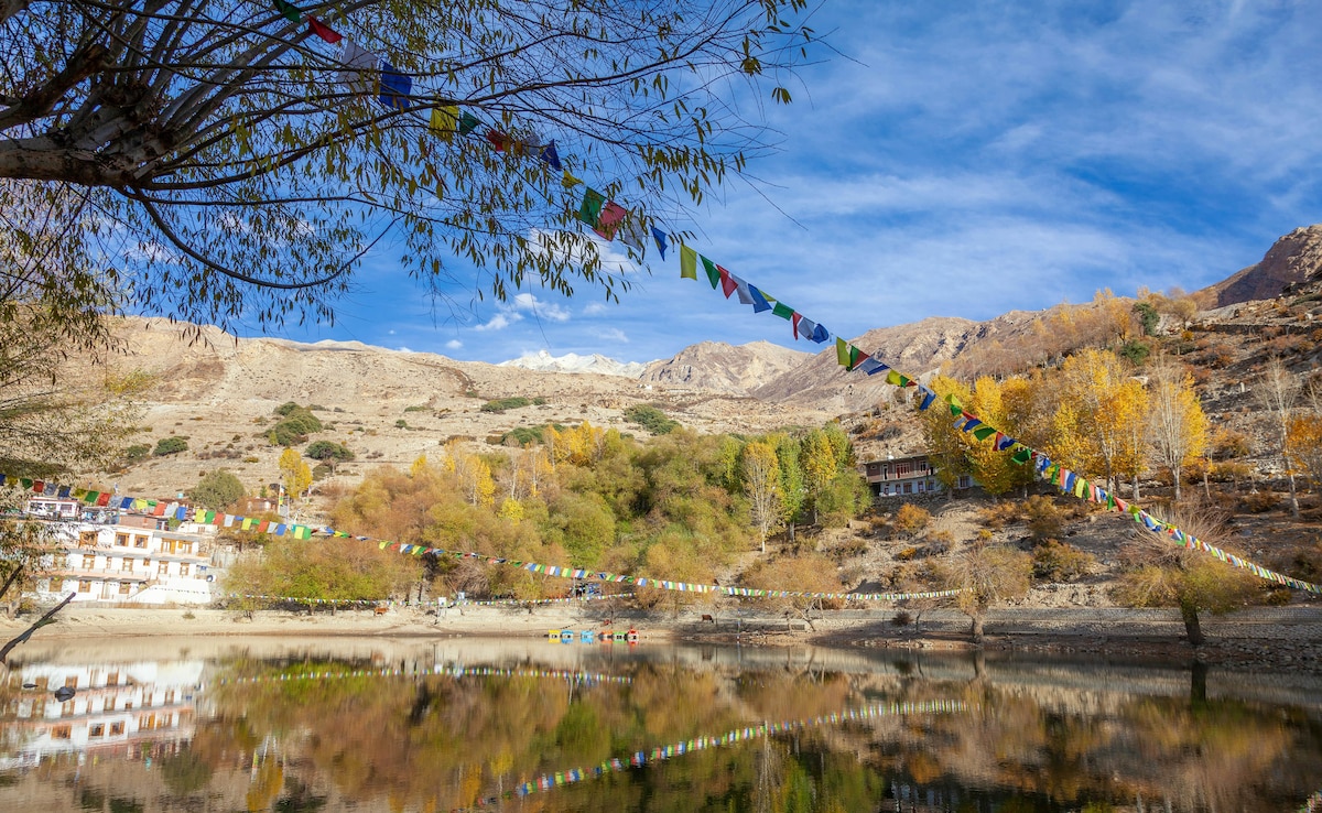 Latest and Breaking News on NDTV