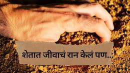 Buldhana News :  शेतात जीवाचं रान केलं पण....मातीतच झाला शेवट; 2 शेतकऱ्यांच्या मृत्यूने जिल्हा हादरला!