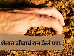 Buldhana News :  शेतात जीवाचं रान केलं पण....मातीतच झाला शेवट; 2 शेतकऱ्यांच्या मृत्यूने जिल्हा हादरला!