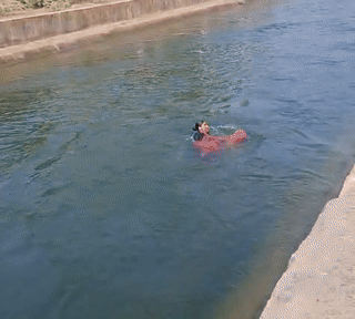 खाकी का साहस: तेज बहती नहर में पुलिस के जवानों ने लगाई छलांग, जान जोखिम में डालकर किया महिला का रेस्क्यू