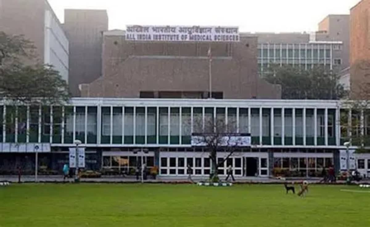 The Art of Baking: From Classic Bread to Artisan Pastries