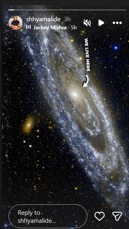 A screenshot of Shhyamali Des Instagram Story. A screenshot of Shhyamali Des Instagram Story.