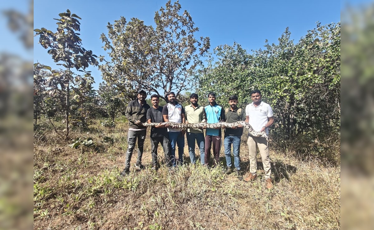 Latest and Breaking News on NDTV Latest and Breaking News on NDTV