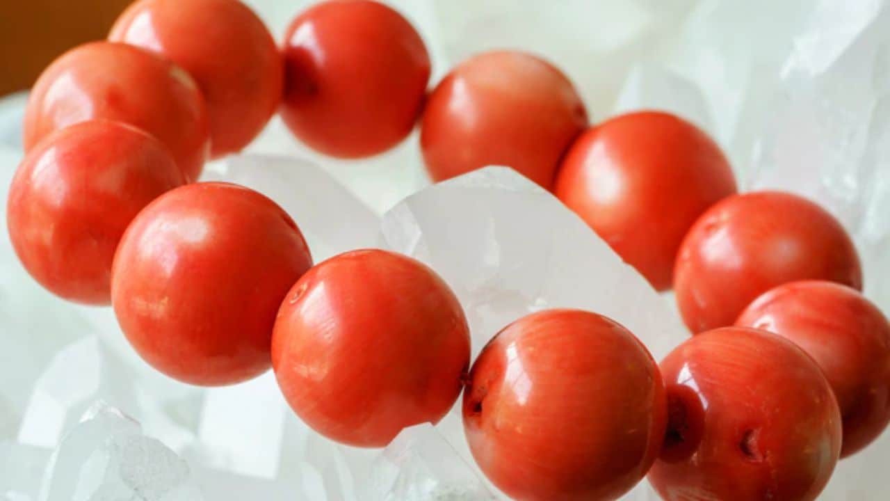 Moonga Gemstone: किन लोगों के लिए मूंगा पहनना होता है सबसे ज्यादा शुभ? जानिए फायदे, नुकसान और नियम