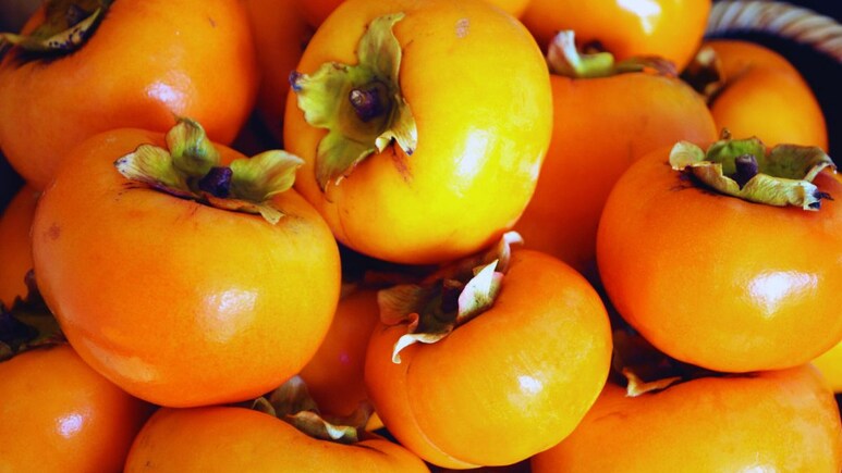persimmon fruit : हे फळ तुम्हाला माहीत आहे का? सध्या ट्रेंड होतंय; हृदयपासून इम्युनिटीपर्यंत 5 जबरदस्त फायदे
