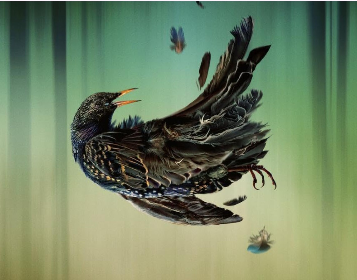 Playing Gracie Darling Review: दिसंबर की सर्दी में परफेक्ट वॉ़च है 'प्लेइंग ग्रेसी डार्लिंग', जानें कैसी है वेब सीरीज