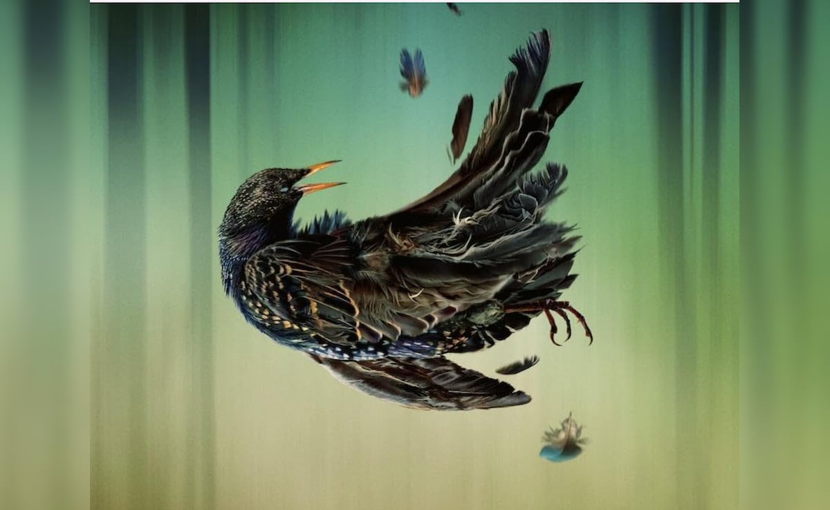Story image