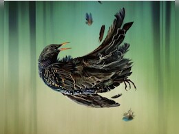 Playing Gracie Darling Review: दिसंबर की सर्दी में परफेक्ट वॉ़च है 'प्लेइंग ग्रेसी डार्लिंग', जानें कैसी है वेब सीरीज