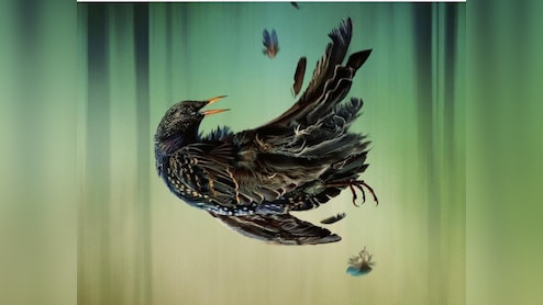 Playing Gracie Darling Review: दिसंबर की सर्दी में परफेक्ट वॉ़च है 'प्लेइंग ग्रेसी डार्लिंग', जानें कैसी है वेब सीरीज