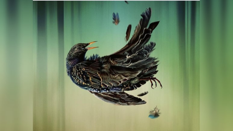 Playing Gracie Darling Review: दिसंबर की सर्दी में परफेक्ट वॉ़च है 'प्लेइंग ग्रेसी डार्लिंग', जानें कैसी है वेब सीरीज