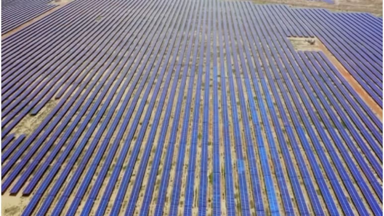 रेगिस्तान से रोशनी तक: 2025 में राजस्थान ने कैसे ऊर्जा महाशक्ति के रूप में अपनी पहचान मजबूत की