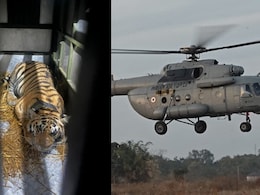 Tigress From Madhya Pradesh Airlifted To Rajasthan To Boost Genetic Diversity