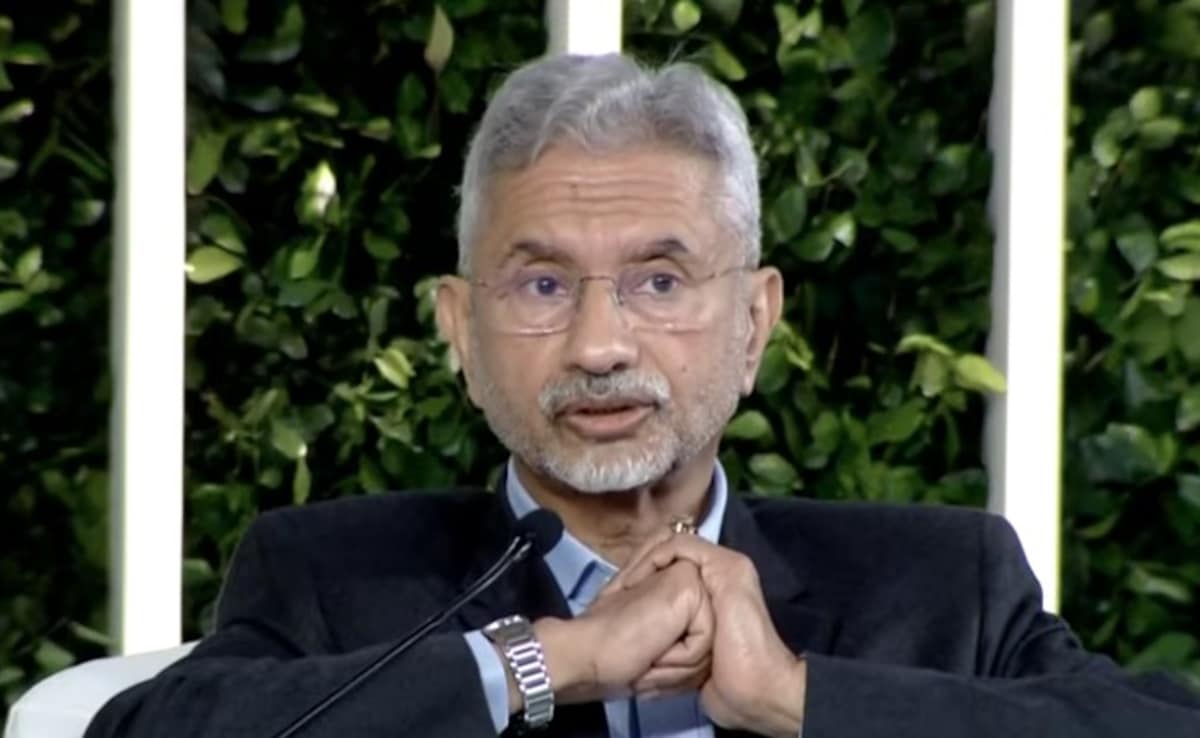 "Much Of Our Problems Emanate From Pakistani Army": S Jaishankar To NDTV