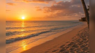 2026 First Sunrise: दुनिया में नया साल शुरू! किरिबाती में निकला 2026 का पहला सूरज; न्यूजीलैंड में भी आगाज