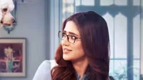 Year Ender 2025: 2025 में शुरू हुए टीवी सीरियल, जो 2025 में ही हो गए खत्म, एक तो 4 महीने भी नहीं चला