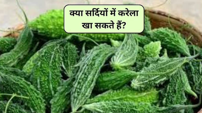 क्या करेला सर्दी के लिए अच्छा है? सर्दी खत्म करने के लिए क्या खाना चाहिए, ठंड में करेला खाने से क्या होता है, जानिए