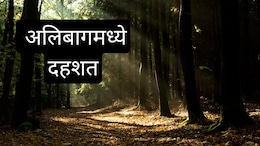 Alibaug News: पुण्यानंतर आता कोकणातील पर्यटनस्थळावर दहशत; मुलांसाठी घराची दारं बंद, वन विभाग अलर्टवर