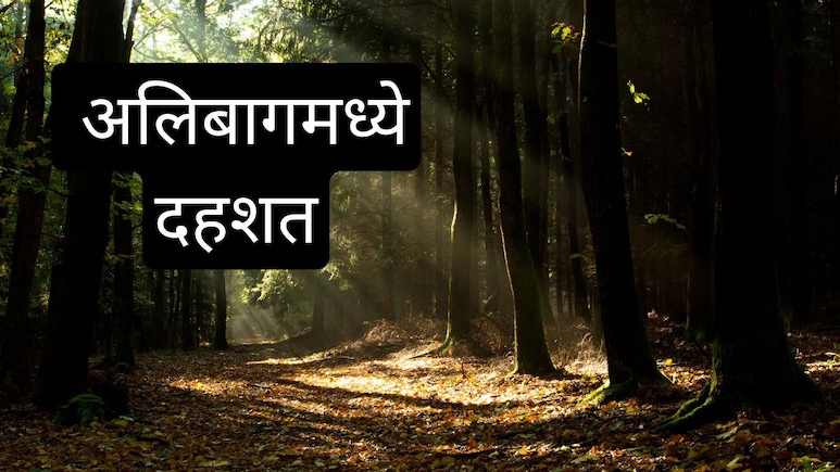 Alibaug News: पुण्यानंतर आता कोकणातील पर्यटनस्थळावर दहशत; मुलांसाठी घराची दारं बंद, वन विभाग अलर्टवर