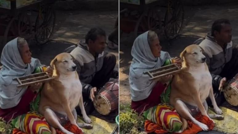 ईश्वर की भक्ति में लीन 'डोगेश भाई'! महिला के पास बैठकर सत्संग करता दिखा कुत्ता