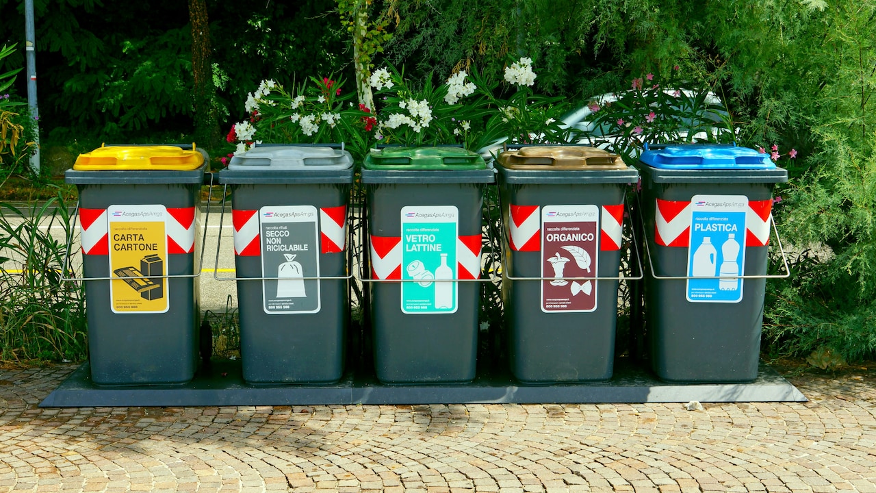Choose The Right Bin Size For Each Room In Your Home