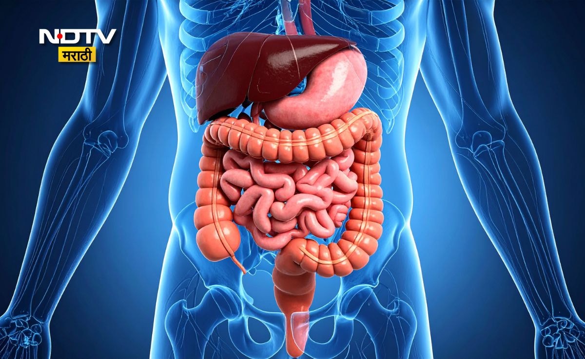 Latest and Breaking News on NDTV Latest and Breaking News on NDTV