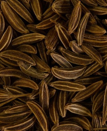 Health Benefits Of Caraway Seeds