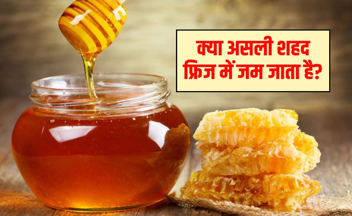 ठंड में शहद जम जाता है क्या? क्या असली शहद फ्रिज में जम जाता है, शहद को असली या नकली कैसे पहचाने