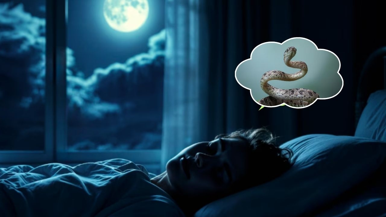 Snake Dream Meaning: धन लाभ या भारी नुकसान? सांप को सपने में देखने से क्या होता है