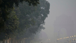 82% Delhiites Know Someone Severely Ill From Air Pollution: Study