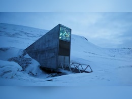 Doomsday Vault: कयामत की तिजोरी में ऐसा क्या रखा गया है? दुनिया की तबाही के बाद खुलेगा जिसका ताला