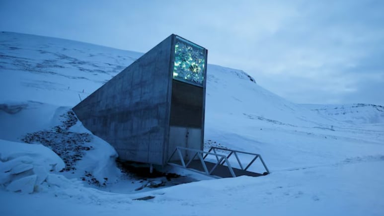 Doomsday Vault: कयामत की तिजोरी में ऐसा क्या रखा गया है? दुनिया की तबाही के बाद खुलेगा जिसका ताला