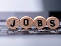 26 Lakh Jobs: नोकरी जाणार अशी भीती वाटतेय? 'या' क्षेत्रात 26 लाख जागांची प्रतीक्षा; कुठे आहे संधी,वाचा सविस्तर