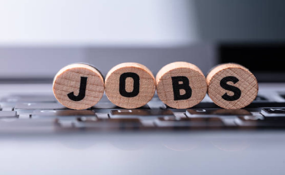 Bank Of India Announces 514 Credit Officer Vacancies, Apply Here