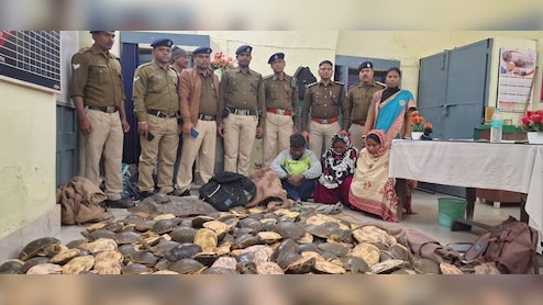 झारखंड : बरहरवा स्टेशन पर फरक्का एक्सप्रेस से 1000 से ज्यादा कछुए बरामद, 3 तस्कर गिरफ्तार